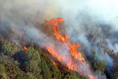 电力防山火巡检